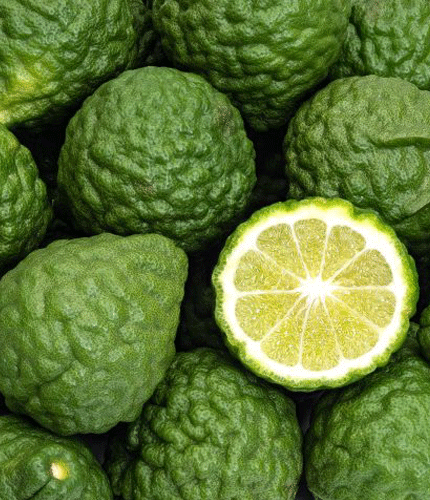 Citrus aurantium
 	30 &agrave; 35 % de bioflavono&iuml;des